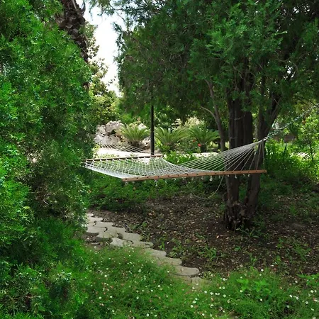 Tenuta Andromeda Villa
